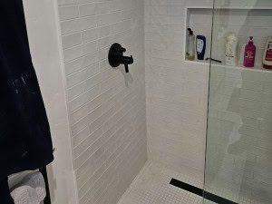 Bathroom Remodel